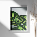 Load image into Gallery viewer, Flora og Fauna | Elegant vægdekoration til boligen | Plakat med grønne planter, botanisk kunst og naturplanter, ideel til at tilføje et organisk og livligt præg til dit hjem.

