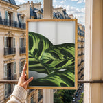 Load image into Gallery viewer, Flora og Fauna | Elegant vægdekoration til boligen | Plakat med grønne planter, botanisk kunst og naturplanter, ideel til at tilføje et organisk og livligt præg til dit hjem.
