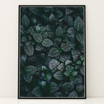Load image into Gallery viewer, Grøn Inspiration | Plakater med frodige motiver til stuen | Plakat med grønne planter, botanisk kunst og naturplanter, ideel til at tilføje et organisk og livligt præg til dit hjem.
