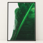 Load image into Gallery viewer, Naturens Skønhed | Realistiske planteplakater til væggen | Plakat med grønne planter, botanisk kunst og naturplanter, ideel til at tilføje et organisk og livligt præg til dit hjem.
