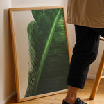 Load image into Gallery viewer, Naturens Skønhed | Realistiske planteplakater til væggen | Plakat med grønne planter, botanisk kunst og naturplanter, ideel til at tilføje et organisk og livligt præg til dit hjem.

