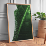 Load image into Gallery viewer, Naturens Skønhed | Realistiske planteplakater til væggen | Plakat med grønne planter, botanisk kunst og naturplanter, ideel til at tilføje et organisk og livligt præg til dit hjem.
