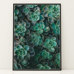 Load image into Gallery viewer, Flora Illustreret | Smukke plakater til kontor og hjem | Plakat med grønne planter, botanisk kunst og naturplanter, ideel til at tilføje et organisk og livligt præg til dit hjem.
