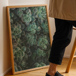 Load image into Gallery viewer, Flora Illustreret | Smukke plakater til kontor og hjem | Plakat med grønne planter, botanisk kunst og naturplanter, ideel til at tilføje et organisk og livligt præg til dit hjem.
