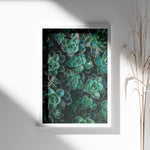 Load image into Gallery viewer, Flora Illustreret | Smukke plakater til kontor og hjem | Plakat med grønne planter, botanisk kunst og naturplanter, ideel til at tilføje et organisk og livligt præg til dit hjem.
