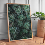 Load image into Gallery viewer, Flora Illustreret | Smukke plakater til kontor og hjem | Plakat med grønne planter, botanisk kunst og naturplanter, ideel til at tilføje et organisk og livligt præg til dit hjem.
