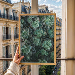 Load image into Gallery viewer, Flora Illustreret | Smukke plakater til kontor og hjem | Plakat med grønne planter, botanisk kunst og naturplanter, ideel til at tilføje et organisk og livligt præg til dit hjem.
