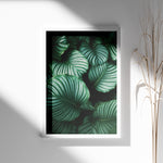 Load image into Gallery viewer, Bladkunst | Dekorér din bolig med naturlige elementer | Plakat med grønne planter, botanisk kunst og naturplanter, ideel til at tilføje et organisk og livligt præg til dit hjem.
