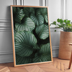 Load image into Gallery viewer, Bladkunst | Dekorér din bolig med naturlige elementer | Plakat med grønne planter, botanisk kunst og naturplanter, ideel til at tilføje et organisk og livligt præg til dit hjem.
