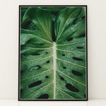 Load image into Gallery viewer, Plante plakat | Naturligt print til din indretning | Plakat med grønne planter, botanisk kunst og naturplanter, ideel til at tilføje et organisk og livligt præg til dit hjem.
