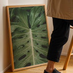 Load image into Gallery viewer, Plante plakat | Naturligt print til din indretning | Plakat med grønne planter, botanisk kunst og naturplanter, ideel til at tilføje et organisk og livligt præg til dit hjem.
