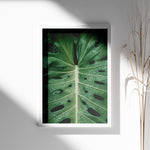 Load image into Gallery viewer, Plante plakat | Naturligt print til din indretning | Plakat med grønne planter, botanisk kunst og naturplanter, ideel til at tilføje et organisk og livligt præg til dit hjem.
