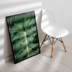 Load image into Gallery viewer, Plante plakat | Naturligt print til din indretning | Plakat med grønne planter, botanisk kunst og naturplanter, ideel til at tilføje et organisk og livligt præg til dit hjem.
