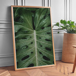 Load image into Gallery viewer, Plante plakat | Naturligt print til din indretning | Plakat med grønne planter, botanisk kunst og naturplanter, ideel til at tilføje et organisk og livligt præg til dit hjem.
