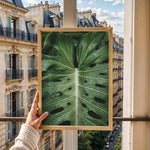 Load image into Gallery viewer, Plante plakat | Naturligt print til din indretning | Plakat med grønne planter, botanisk kunst og naturplanter, ideel til at tilføje et organisk og livligt præg til dit hjem.
