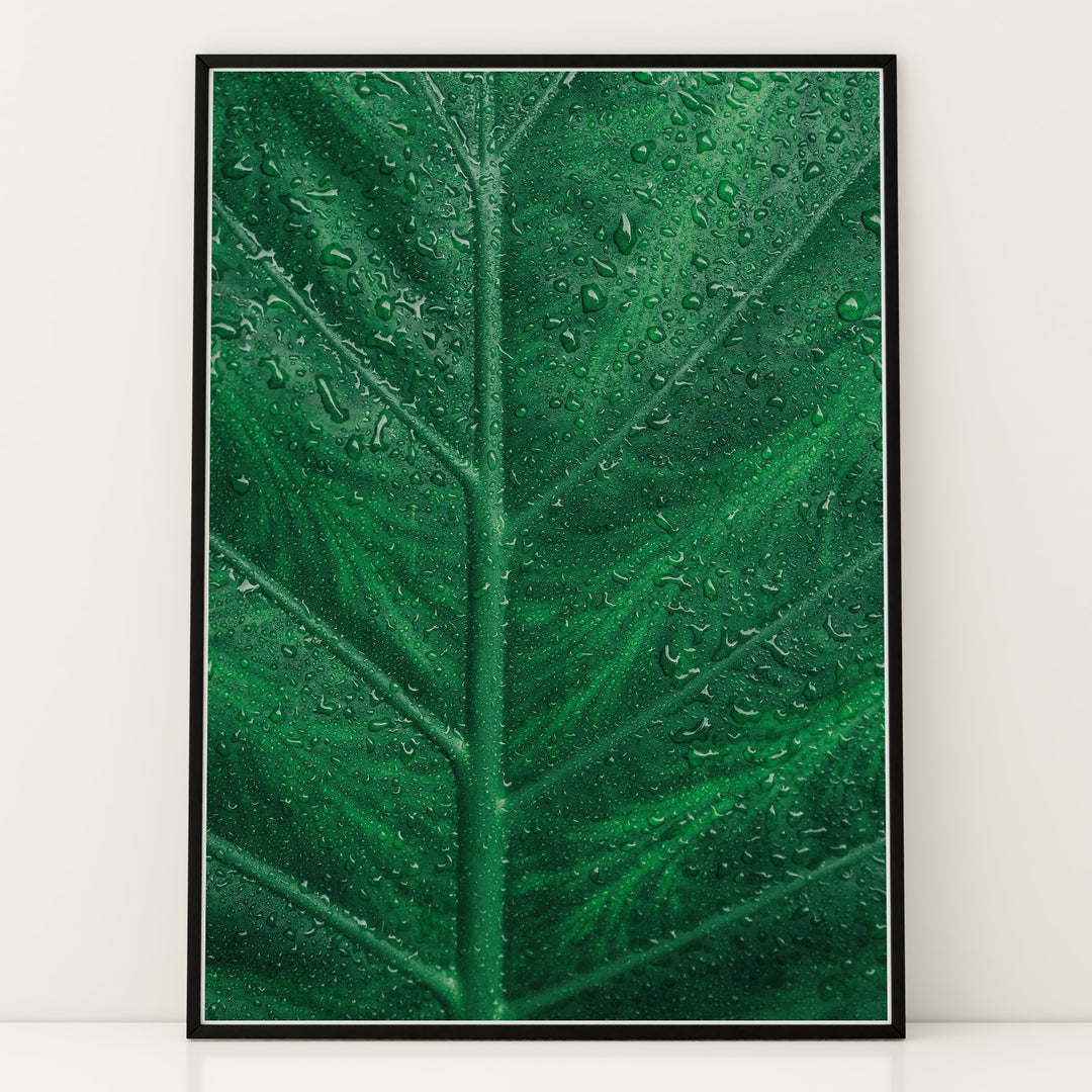 Plante print | Stilfuld plakat med botaniske motiver | Plakat med grønne planter, botanisk kunst og naturplanter, ideel til at tilføje et organisk og livligt præg til dit hjem.