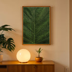 Load image into Gallery viewer, Plante print | Stilfuld plakat med botaniske motiver | Plakat med grønne planter, botanisk kunst og naturplanter, ideel til at tilføje et organisk og livligt præg til dit hjem.
