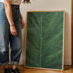 Load image into Gallery viewer, Plante print | Stilfuld plakat med botaniske motiver | Plakat med grønne planter, botanisk kunst og naturplanter, ideel til at tilføje et organisk og livligt præg til dit hjem.

