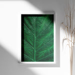 Load image into Gallery viewer, Plante print | Stilfuld plakat med botaniske motiver | Plakat med grønne planter, botanisk kunst og naturplanter, ideel til at tilføje et organisk og livligt præg til dit hjem.
