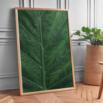 Load image into Gallery viewer, Plante print | Stilfuld plakat med botaniske motiver | Plakat med grønne planter, botanisk kunst og naturplanter, ideel til at tilføje et organisk og livligt præg til dit hjem.

