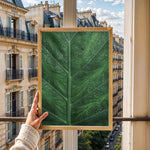 Load image into Gallery viewer, Plante print | Stilfuld plakat med botaniske motiver | Plakat med grønne planter, botanisk kunst og naturplanter, ideel til at tilføje et organisk og livligt præg til dit hjem.
