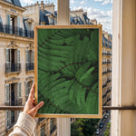 Load image into Gallery viewer, Plante print | Elegant plakat med detaljerede illustrationer | Plakat med grønne planter, botanisk kunst og naturplanter, ideel til at tilføje et organisk og livligt præg til dit hjem.
