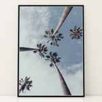 Load image into Gallery viewer, Plakat med palmer og himmel | Sommer og Strand Plakater | Denne plakat viser flere høje palmer mod en delvist skyet himmel. Perfekt til dem, der elsker tropiske omgivelser.
