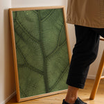 Load image into Gallery viewer, Plante plakat | Unikt print der tilføjer skønhed til rummet | Plakat med grønne planter, botanisk kunst og naturplanter, ideel til at tilføje et organisk og livligt præg til dit hjem.
