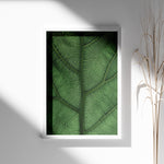Load image into Gallery viewer, Plante plakat | Unikt print der tilføjer skønhed til rummet | Plakat med grønne planter, botanisk kunst og naturplanter, ideel til at tilføje et organisk og livligt præg til dit hjem.
