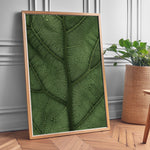 Load image into Gallery viewer, Plante plakat | Unikt print der tilføjer skønhed til rummet | Plakat med grønne planter, botanisk kunst og naturplanter, ideel til at tilføje et organisk og livligt præg til dit hjem.
