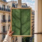 Load image into Gallery viewer, Plante plakat | Unikt print der tilføjer skønhed til rummet | Plakat med grønne planter, botanisk kunst og naturplanter, ideel til at tilføje et organisk og livligt præg til dit hjem.
