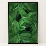 Load image into Gallery viewer, Plante print | Tidløs plakat med inspirerende motiver | Plakat med grønne planter, botanisk kunst og naturplanter, ideel til at tilføje et organisk og livligt præg til dit hjem.
