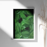 Load image into Gallery viewer, Plante print | Tidløs plakat med inspirerende motiver | Plakat med grønne planter, botanisk kunst og naturplanter, ideel til at tilføje et organisk og livligt præg til dit hjem.
