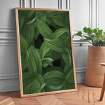 Load image into Gallery viewer, Plante print | Tidløs plakat med inspirerende motiver | Plakat med grønne planter, botanisk kunst og naturplanter, ideel til at tilføje et organisk og livligt præg til dit hjem.
