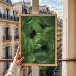 Load image into Gallery viewer, Plante print | Tidløs plakat med inspirerende motiver | Plakat med grønne planter, botanisk kunst og naturplanter, ideel til at tilføje et organisk og livligt præg til dit hjem.
