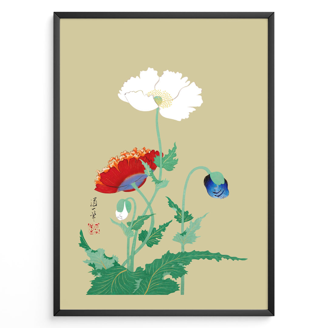 Japanese botanical illustration of white, red, and blue poppy flowers on a beige background in a framed poster.
