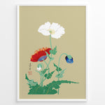 Load image into Gallery viewer, Japanese botanical illustration of white, red, and blue poppy flowers on a beige background in a framed poster.
