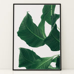Load image into Gallery viewer, Plante print | Smuk plakat med levende farver | Plakat med grønne planter, botanisk kunst og naturplanter, ideel til at tilføje et organisk og livligt præg til dit hjem.
