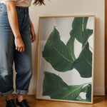 Load image into Gallery viewer, Plante print | Smuk plakat med levende farver | Plakat med grønne planter, botanisk kunst og naturplanter, ideel til at tilføje et organisk og livligt præg til dit hjem.
