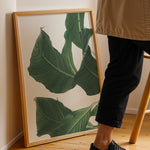 Load image into Gallery viewer, Plante print | Smuk plakat med levende farver | Plakat med grønne planter, botanisk kunst og naturplanter, ideel til at tilføje et organisk og livligt præg til dit hjem.

