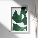 Load image into Gallery viewer, Plante print | Smuk plakat med levende farver | Plakat med grønne planter, botanisk kunst og naturplanter, ideel til at tilføje et organisk og livligt præg til dit hjem.
