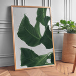 Load image into Gallery viewer, Plante print | Smuk plakat med levende farver | Plakat med grønne planter, botanisk kunst og naturplanter, ideel til at tilføje et organisk og livligt præg til dit hjem.
