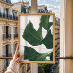 Load image into Gallery viewer, Plante print | Smuk plakat med levende farver | Plakat med grønne planter, botanisk kunst og naturplanter, ideel til at tilføje et organisk og livligt præg til dit hjem.
