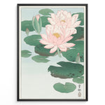 Load image into Gallery viewer, Japanese woodblock-style lotus flower illustration with pink blooms and green lily pads in a framed poster.
