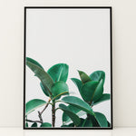 Load image into Gallery viewer, Plante plakat | Naturligt print der skaber ro | Plakat med grønne planter, botanisk kunst og naturplanter, ideel til at tilføje et organisk og livligt præg til dit hjem.
