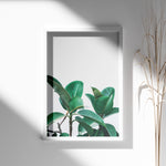 Load image into Gallery viewer, Plante plakat | Naturligt print der skaber ro | Plakat med grønne planter, botanisk kunst og naturplanter, ideel til at tilføje et organisk og livligt præg til dit hjem.
