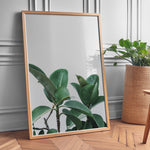 Load image into Gallery viewer, Plante plakat | Naturligt print der skaber ro | Plakat med grønne planter, botanisk kunst og naturplanter, ideel til at tilføje et organisk og livligt præg til dit hjem.
