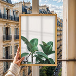 Load image into Gallery viewer, Plante plakat | Naturligt print der skaber ro | Plakat med grønne planter, botanisk kunst og naturplanter, ideel til at tilføje et organisk og livligt præg til dit hjem.
