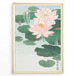 Load image into Gallery viewer, Japanese woodblock-style lotus flower illustration with pink blooms and green lily pads in a framed poster.
