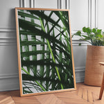 Load image into Gallery viewer, Plante print | Unik plakat med stilfulde designs | Plakat med grønne planter, botanisk kunst og naturplanter, ideel til at tilføje et organisk og livligt præg til dit hjem.
